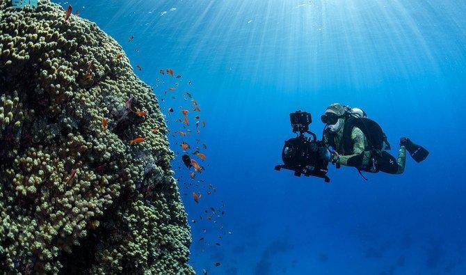 Les chercheurs ont observé deux fois un calmar géant et ont découvert le bassin saumâtre en eau profonde le plus septentrional du monde. 