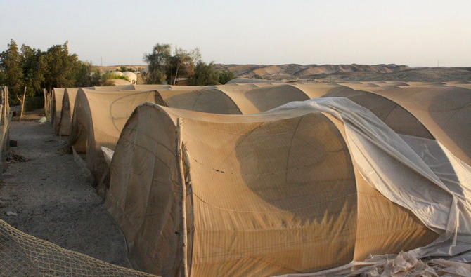 Vue d’une ferme située près d’un projet de dessalement de l’eau dans la région touristique de Marsa Chagra, près de Marsa Alam, sur le littoral sud de la mer Rouge, en Égypte, le 18 octobre 2021. (Reuters) 