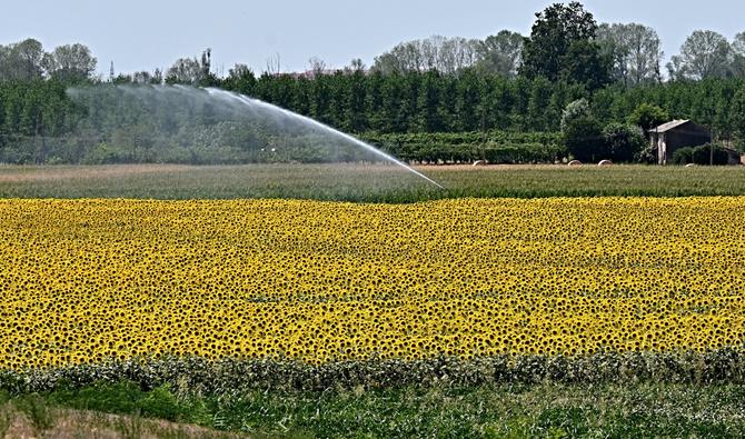 Vérone, une ville d'un quart de million d'habitants, a rationné l'usage de l'eau potable, tandis que Milan a décidé la fermeture de ses fontaines décoratives. (Photo, AFP)