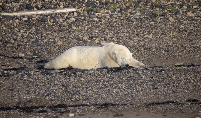 Il est temps d'agir pour le climat, maintenant