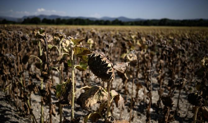 Été 2023, meurtres, naufrages et canicule