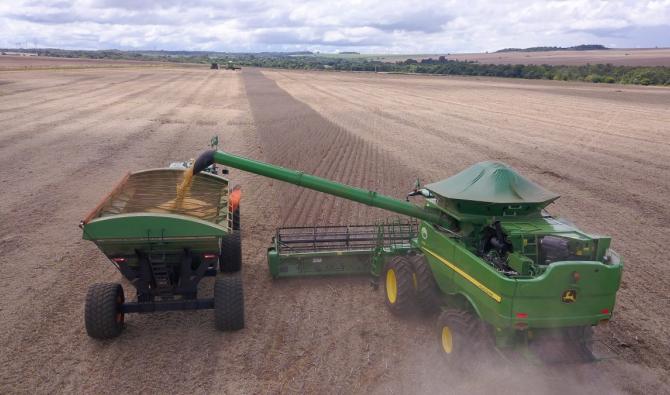 Moteur des exportations céréalières (54%), le blé tendre, céréale du pain, est cultivé dans les riches plaines de la Beauce et du nord de la France. (AFP)